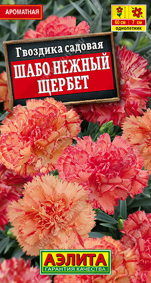 Гвоздика Шабо Нежный щербет ф.п.0,05г