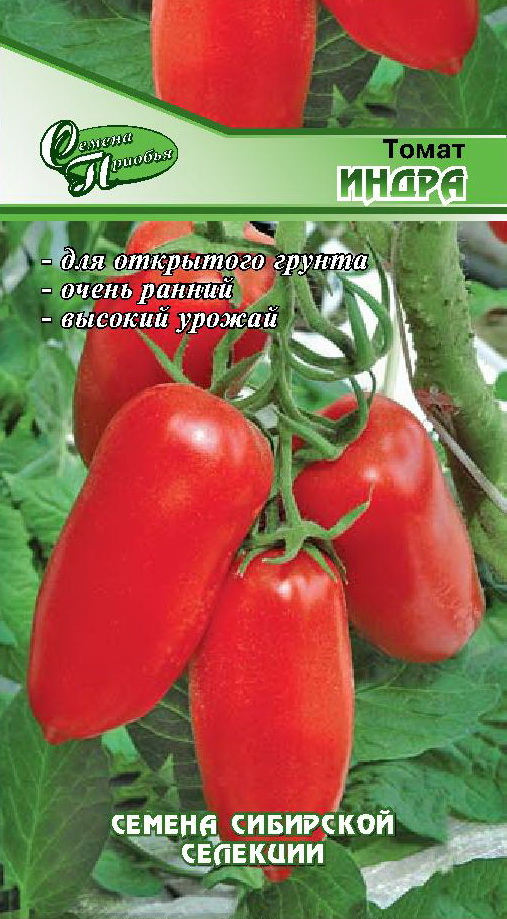 Томат Индра ф.п. 15шт