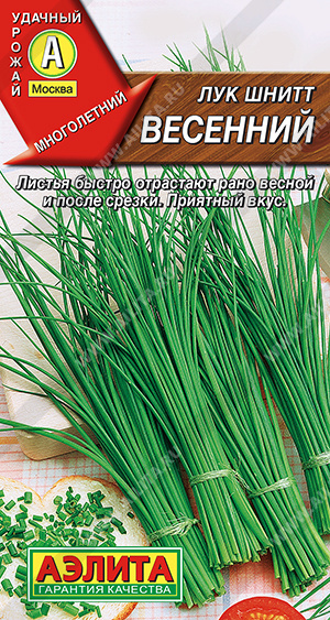 Лук шнитт Весенний ф.п.0,5г