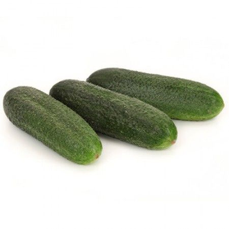 Огурец Диригент F1 (уп. 100сем)