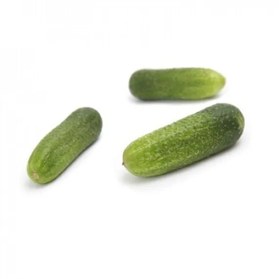 Огурец Рэппер F1 (уп. 250шт)