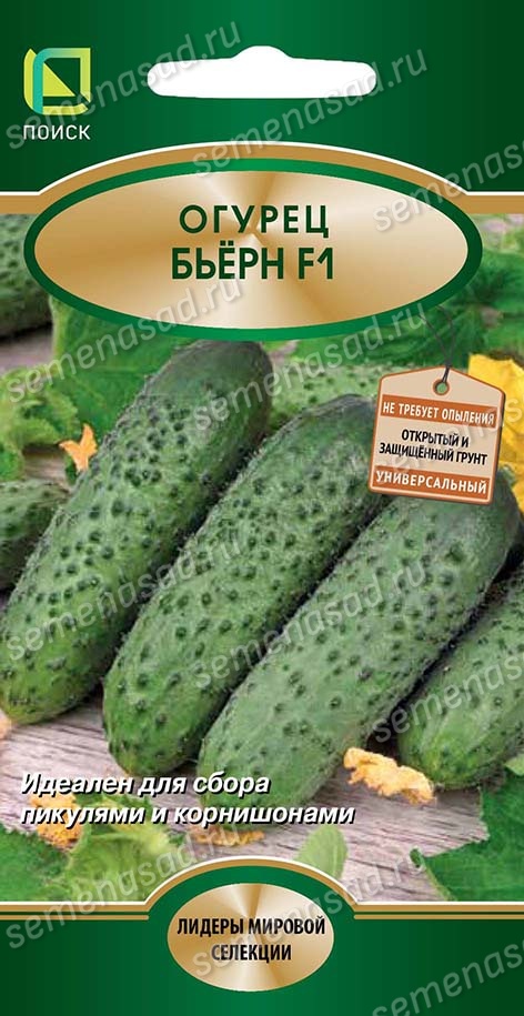 Огурец Бьёрн F1 (ЦВ*) 5шт.