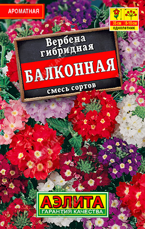 Вербена Балконная, смесь сортов ф.п.40шт
